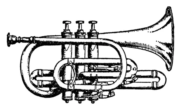 Corneta Instrumento Latón Muy Similar Trompeta Distingue Por Diámetro Cónico — Archivo Imágenes Vectoriales