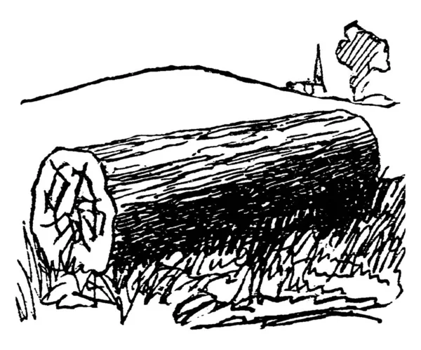 畑の草の上に寝そべっている木や木のかさばる作品の典型的な表現 ヴィンテージラインの絵や彫刻イラスト — ストックベクタ