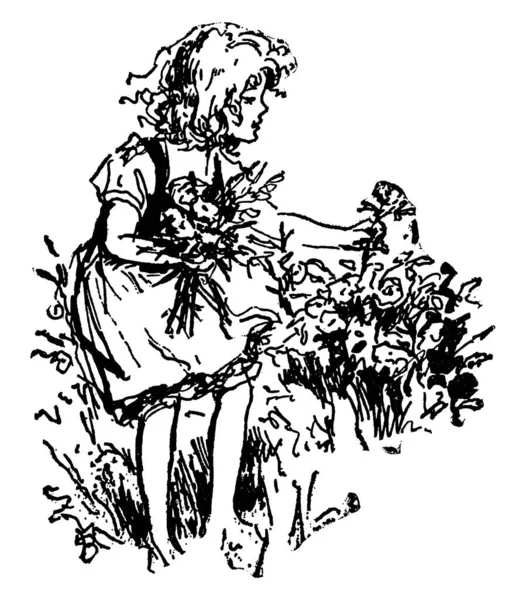 Ένα Μικρό Κορίτσι Φορώντας Φόρεμα Χαλαρά Μαλλιά Μαζεύοντας Λουλούδια Από — Διανυσματικό Αρχείο