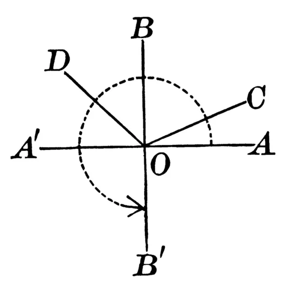 原点と呼ばれる同じ端からの水平A軸に対する垂直B軸上の2本の線のプロット — ストックベクタ