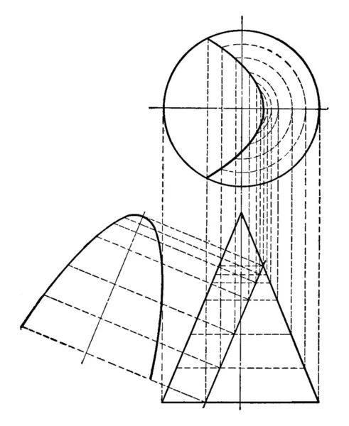 Parabol Som Konisk Sektion Och Den Plana Skurna Konen Parallell — Stock vektor