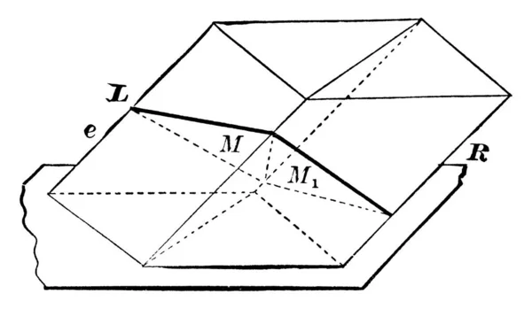 Parallelepiped Έχει Έξι Πρόσωπα Καθένα Από Οποία Είναι Ένα Παραλληλόγραμμο — Διανυσματικό Αρχείο