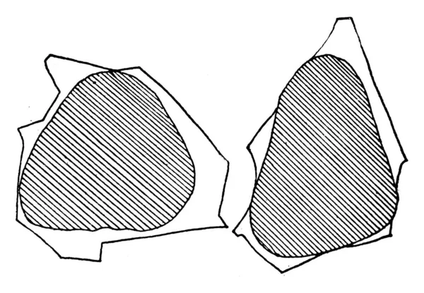 Granos Cuarzo Granos Cuarzo Juntos Formando Una Roca Densa Dura — Archivo Imágenes Vectoriales