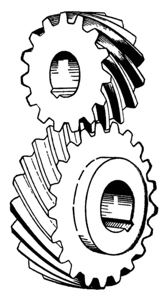 Meshing Pair Gears Smaller Gear Called Pinion Gear Shown Here — Stock Vector