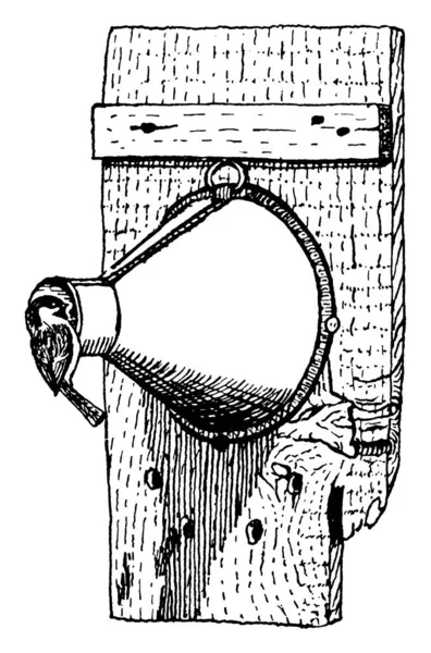 Ein Vogelhaus Aus Einem Alten Trichter Vintage Linienzeichnung Oder Gravierillustration — Stockvektor