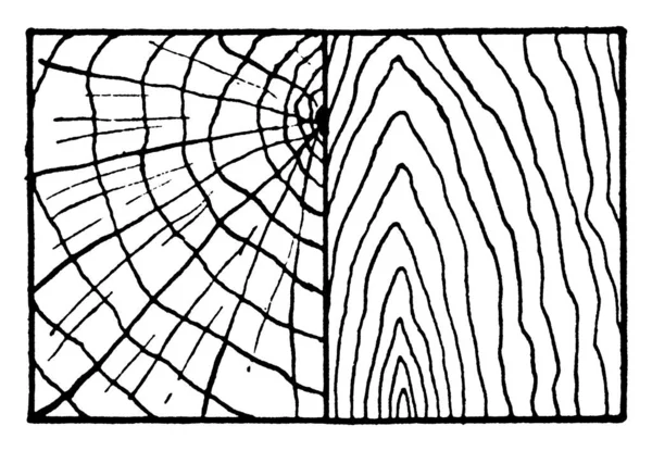 Las Grietas Madera Son Rupturas Separaciones Grano Madera Dibujo Línea — Archivo Imágenes Vectoriales