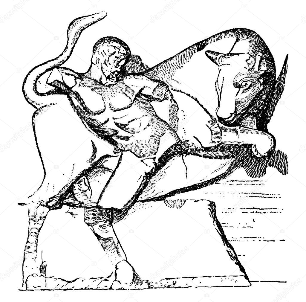 Hercules was the son of Zeus (Roman equivalent Jupiter) and the mortal Alcmene, in Greek mythology. The picture depicts, Hercules with the Bull, vintage line drawing or engraving illustration 