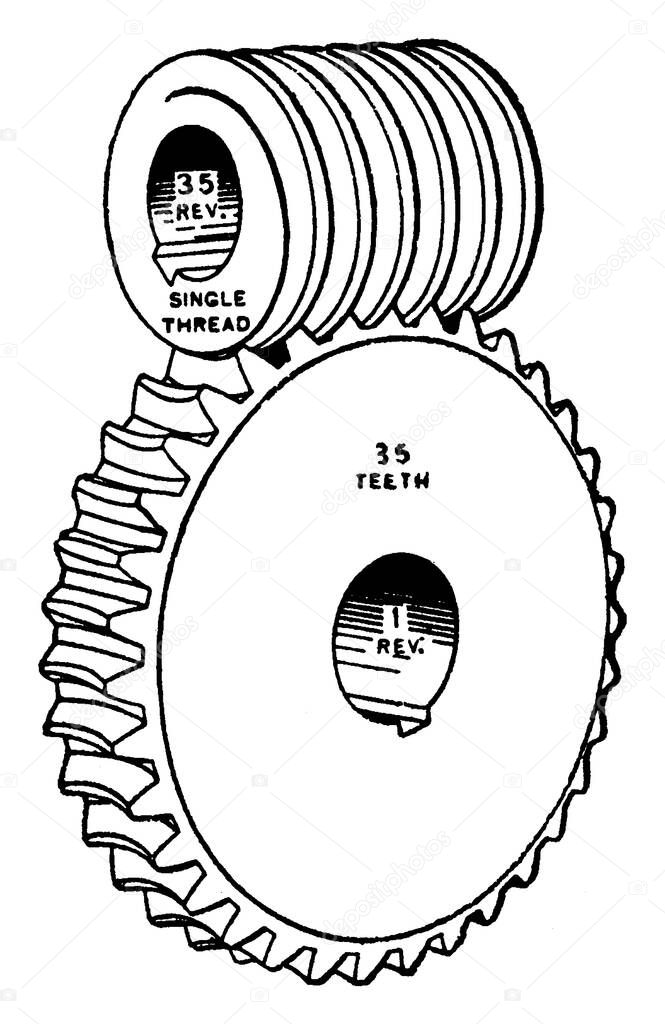 A worm drive is a gear arrangement in which a worm meshes with a worm gear. Shown here is a typical representation of a worm and worm gear, ratio 35 to 1., vintage line drawing or engraving illustration 