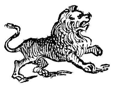 Aslan, Felidae familyasından kısa, yuvarlak kafalı, kaslı, derin göğüslü bir kedidir. Bilimsel adı Panthera Leo 'dur.. 