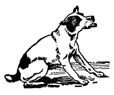 Oturma pozisyonu almış, ağzı açık bir köpeğin tipik bir tasviri. Köpekler sadıktır ve insanın en iyi dostu olarak kabul edilir ve genellikle yabancılara havlarlar, klasik çizimler ya da gravür çizimleri.