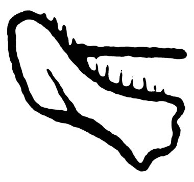 Bal Arısı, Apidae familyasından bir böcek türü. Koloniler halinde yaşarlar, klasik çizimler ya da kabartmalar yaparlar..