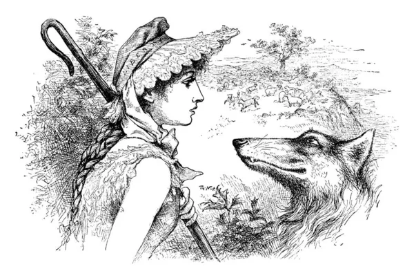 Shepherd Kostümü Kurt Giyen Kız Karikatürü Kurt 1884 Başkanlık Seçimlerinde — Stok Vektör