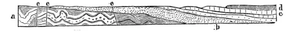 Strati Letto Singolo Roccia Sedimentaria Generalmente Costituito Tipo Materia Che — Vettoriale Stock