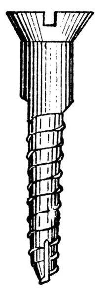 Una Vite Legno Con Testa Piatta Trasmissione Scanalata Questo Tipo — Vettoriale Stock