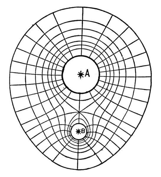 Muestra Que Una Carga Mueve Punto Otro Misma Superficie Equipotencial — Vector de stock