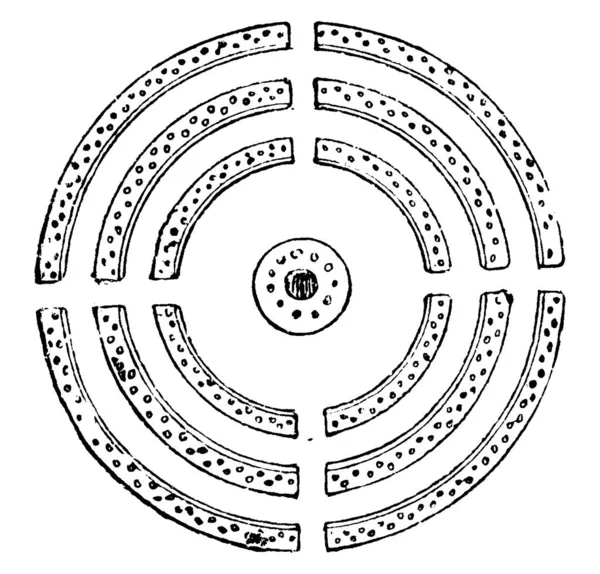 Desenho Circular Que Rosas Arbustos São Dispostos Jardim Desenho Linha — Vetor de Stock