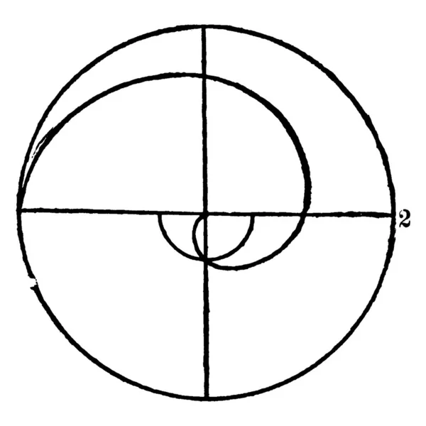 Спираль Lituus Маркировкой Частей Рисунок Винтажной Линии Гравировка — стоковый вектор
