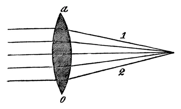 Рисунке Показаны Наблюдаемые Результаты Расходящиеся Лучи Падают Поверхность Объектива Зависимости — стоковый вектор