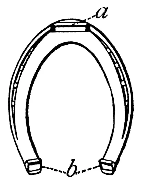 Подковы Обувь Задних Ног Частями Помечены Представляющие Пальчики Ног Пятки — стоковый вектор