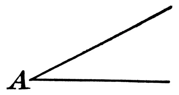 Deux Rayons Ayant Point Final Commun Faisant Angle Qui Est — Image vectorielle