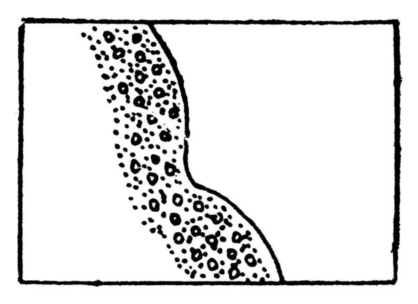 Типичное Представление Берегов Низководных Линий Гравием Камнями Топографической Карте Рисунок — стоковый вектор