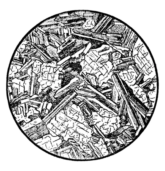 Bronzit Diabază Prezentând Cristale Plagioclază Formă Lat Desenul Liniei Epocă — Vector de stoc