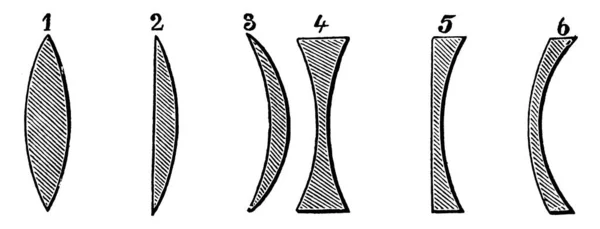 Una Representación Típica Los Tipos Lente Secuencia Orden Como Doble — Archivo Imágenes Vectoriales
