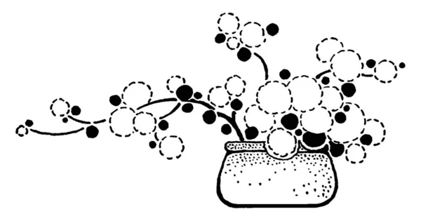 Harmony Small Vase White Circles Represents Flowers Black Dots Represents — Stock Vector