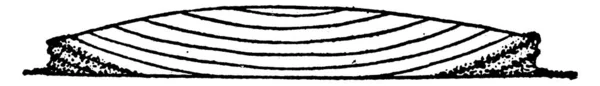 Figure Représentant Une Moraine Latérale Elle Forme Long Des Flancs — Image vectorielle