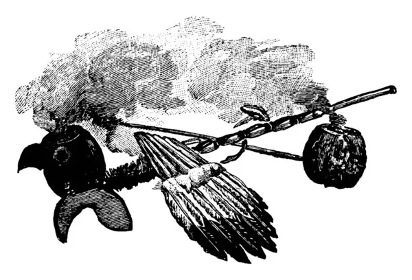 Obraz Indiánských Píšťal Starodávná Kresba Nebo Rytina Ilustrace — Stockový vektor