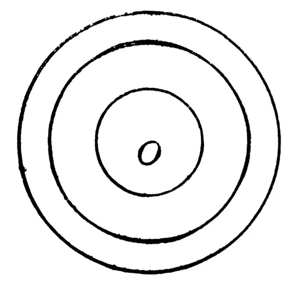 Tři Kruhy Společným Středem Různými Poloměry Vinobraní Čáry Kreslení Nebo — Stockový vektor