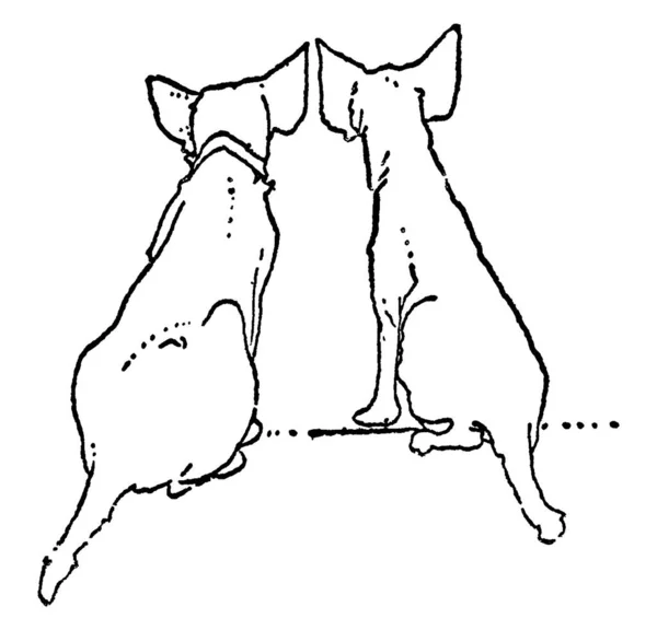 坐在路上的两只狗的袋景 其中一个是脖子上戴着项圈 画着古色古香的线条或雕刻插图 — 图库矢量图片