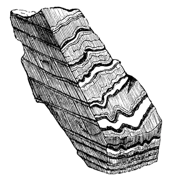 粘板岩の切断 それは 粒状の微細な鉱物 塩素酸塩 ヴィンテージライン図面や彫刻イラストの普及し 平行層です — ストックベクタ