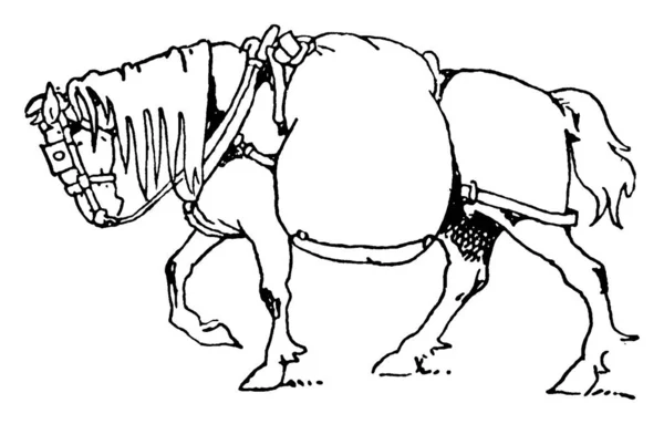 草の袋を持った馬が描かれている 一般的に 馬は横になって立ち上がるか ヴィンテージラインの図面や彫刻イラストの両方を眠ることができます — ストックベクタ