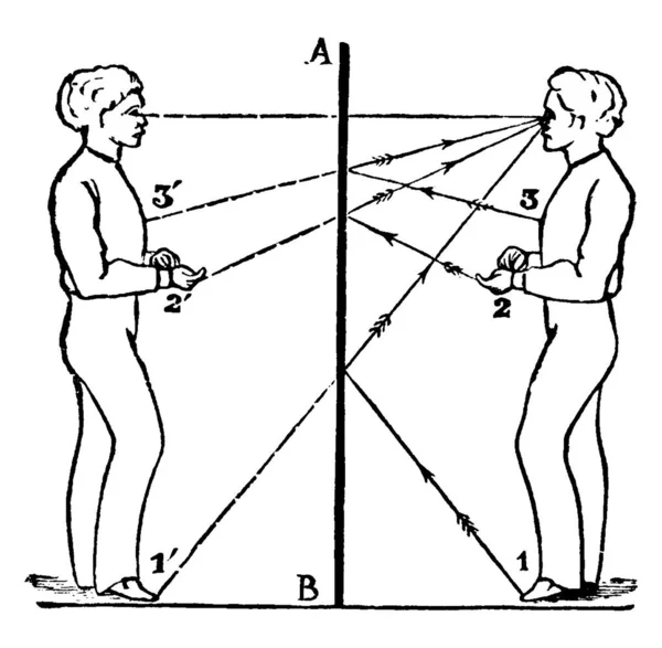 Homem Frente Espelho Mostrando Reflexões Espelho Desenho Linha Vintage Gravura —  Vetores de Stock