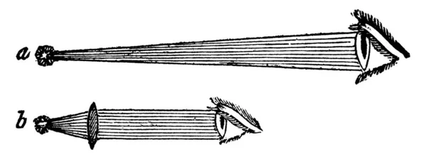 单个显微镜可以证明 当一个物体在一半的距离时 它将会出现两倍于古代线条绘图或雕刻插图的效果 — 图库矢量图片