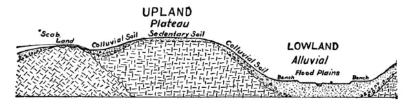 示出被标为胶合土 定居土 冲积土等不同类型土壤的遗传关系的图解 老线画或刻划图解 — 图库矢量图片