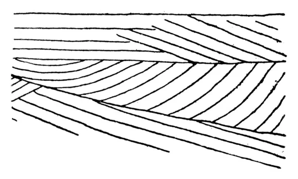 Фігура Показує Еолійський Хрест Постільної Білизни Який Формується Вітровою Здатністю — стоковий вектор