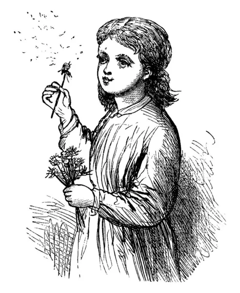 Young Girl Gliding Dandelions by blast of air., vintage line drawing or engraving illustration. 