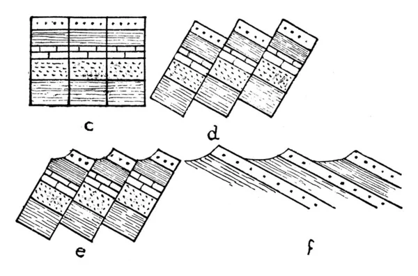 断块断层是指将地壳划分为不同隆起 不同方向的断块 不同年代的线条绘制或刻划图解的一种正断层类型 — 图库矢量图片
