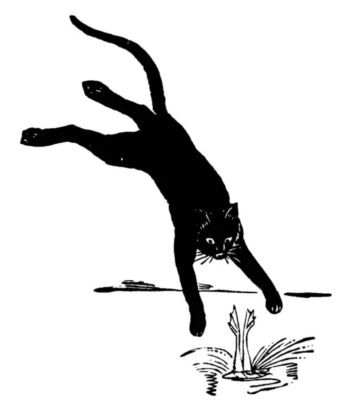特徴的なひげと長い曲線の尾を持つ黒い毛皮の猫は カエル ヴィンテージラインの描画や彫刻イラストで遊んで — ストックベクタ