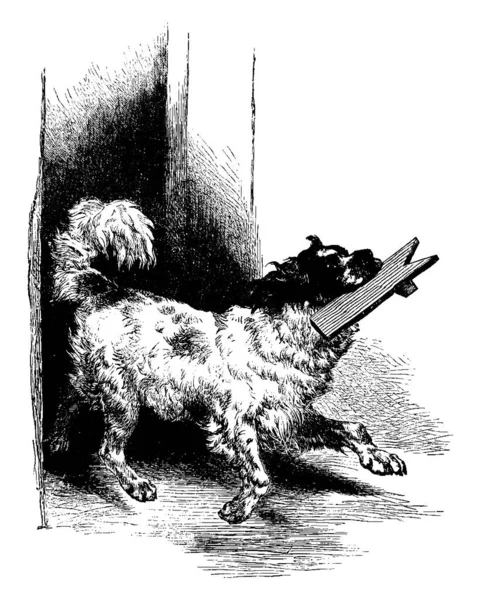 Ein Haushund Der Mit Einem Stück Holz Maul Läuft Vintage — Stockvektor