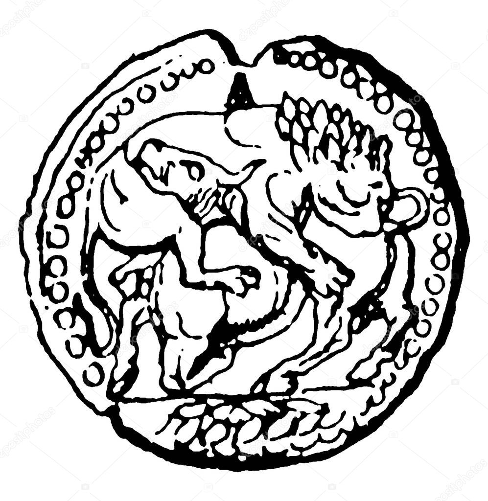 Sculpture of Lion attacking a bull on this ancient Greek silver coin of Acanthus, vintage line drawing or engraving illustration.