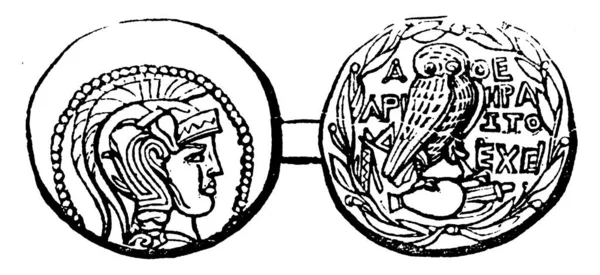 ドラクマの典型的な表現 ギリシャ人の間で主要な銀のコイン ギリシャの通貨の2つの主要な基準は AtticとAgeinetan ヴィンテージライン図面または彫刻イラストでした — ストックベクタ