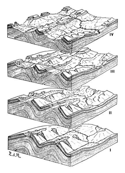背斜褶皱 同形褶皱 复古线条画或雕刻图解中河流系统的发展 — 图库矢量图片