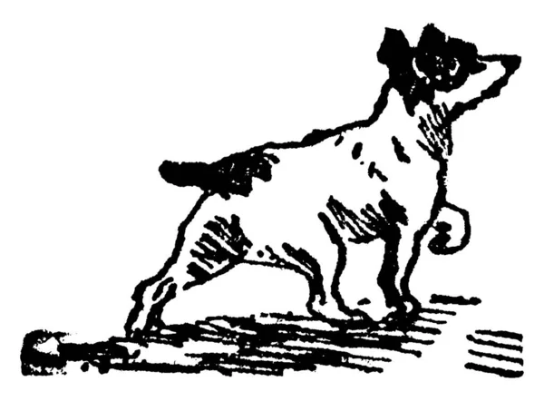 Una Representación Típica Perro Corriendo Por Las Calles Mirando Algo — Archivo Imágenes Vectoriales