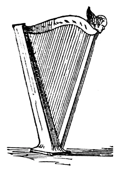 Harpa Instrumento Musical Cordas Que Consiste Número Cordas Individuais Correndo — Vetor de Stock
