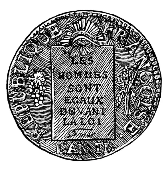 它是一个硬币的图像 它展示了对硬币的观察 上面有宣言 一串葡萄 一捆麦子 老式线条画或雕刻 — 图库矢量图片