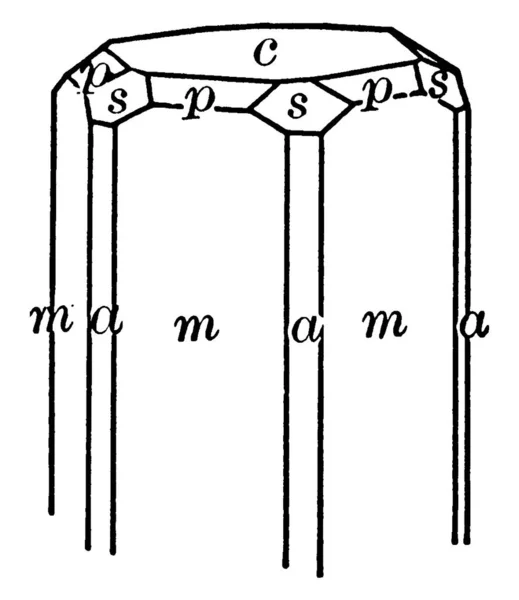 Berilo Mineral Compuesto Ciclosilicato Berilio Aluminio Dibujo Líneas Vintage Ilustración — Archivo Imágenes Vectoriales