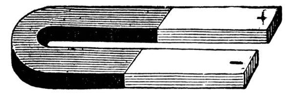 马蹄磁铁是一种以马蹄形状制造的磁铁 磁铁有两根磁极 两根磁极紧密相连 — 图库矢量图片